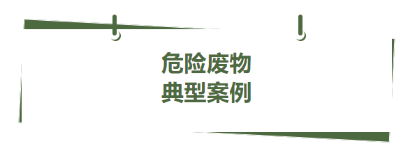 典型案例丨危險廢物系列八